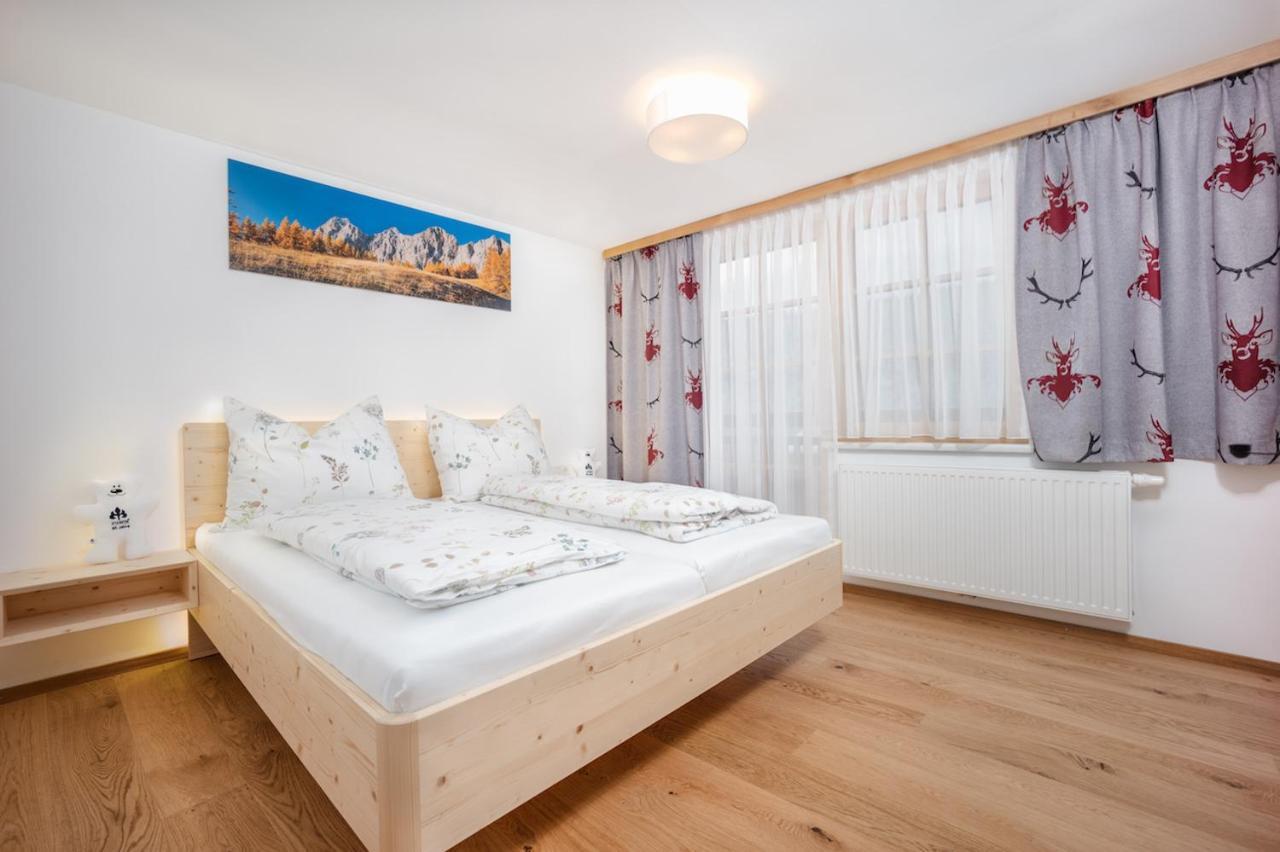 דירות רמסאו אם דכשטיין Haus Alpenruhe By Schladmingurlaub מראה חיצוני תמונה